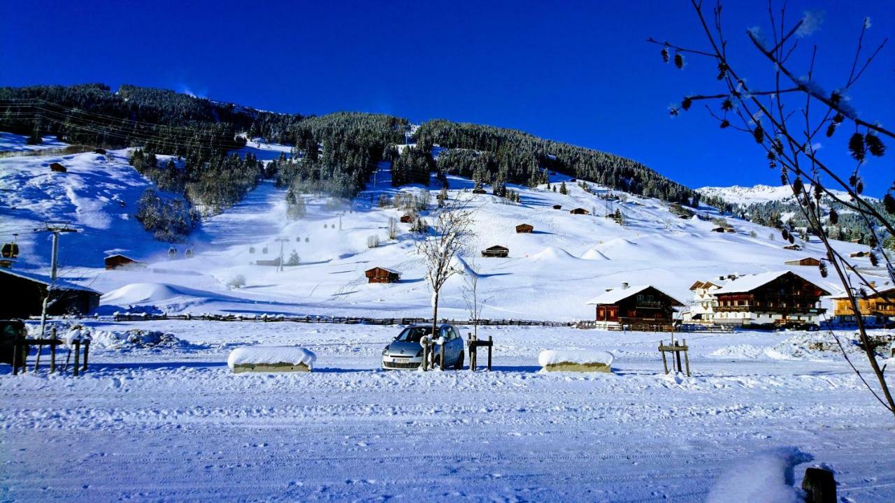 Fewo "Unterm Wald" Stumm Extérieur photo